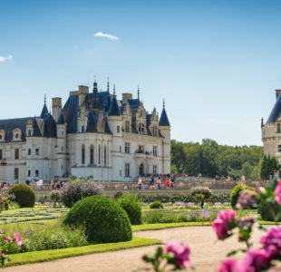 Chateau de la Loire