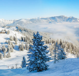 Séminaire & Team Building d'hiver à la Plagne
