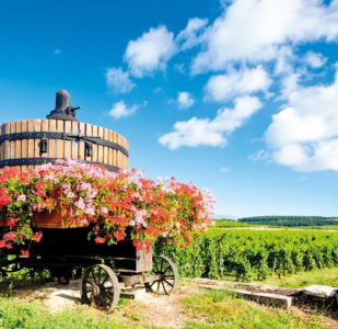 La Bourgogne